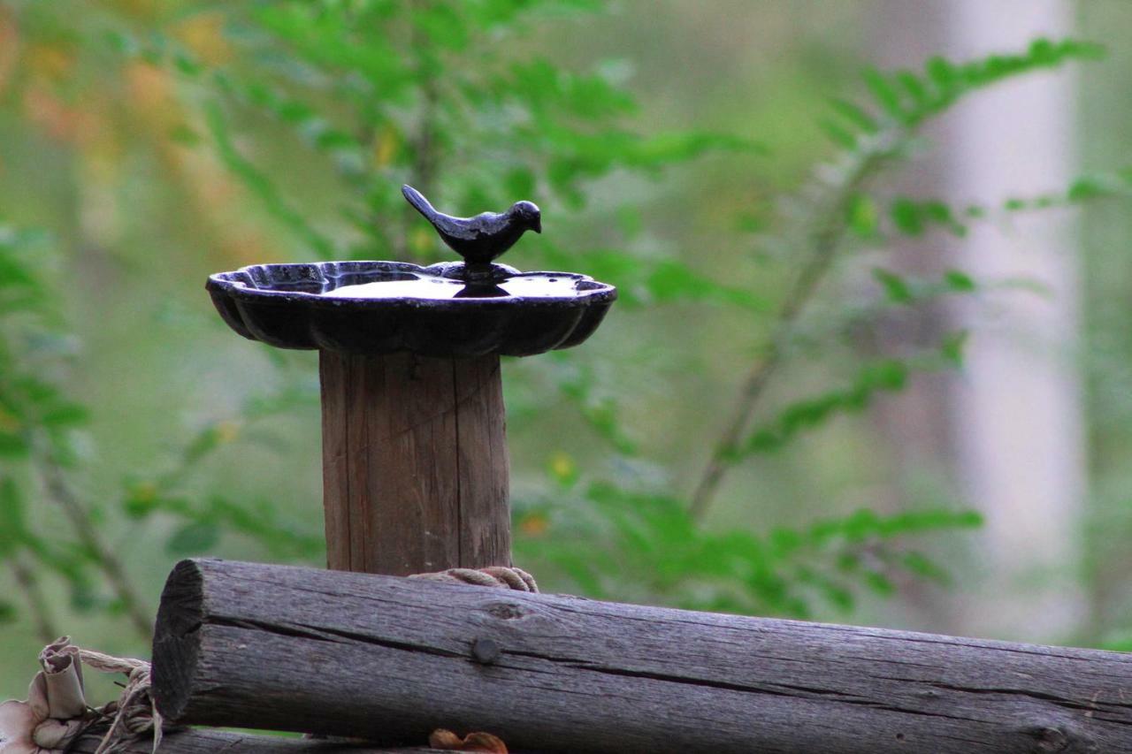 San José de Maipo Casa Lagunillas Tinaja Calienteヴィラ エクステリア 写真